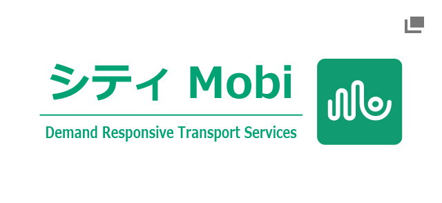 Demand Responsive Transport Services CTi Mobility