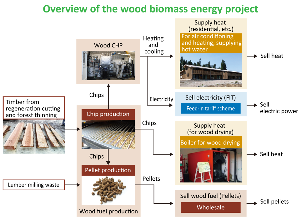 Overview of the wood biomass energy project