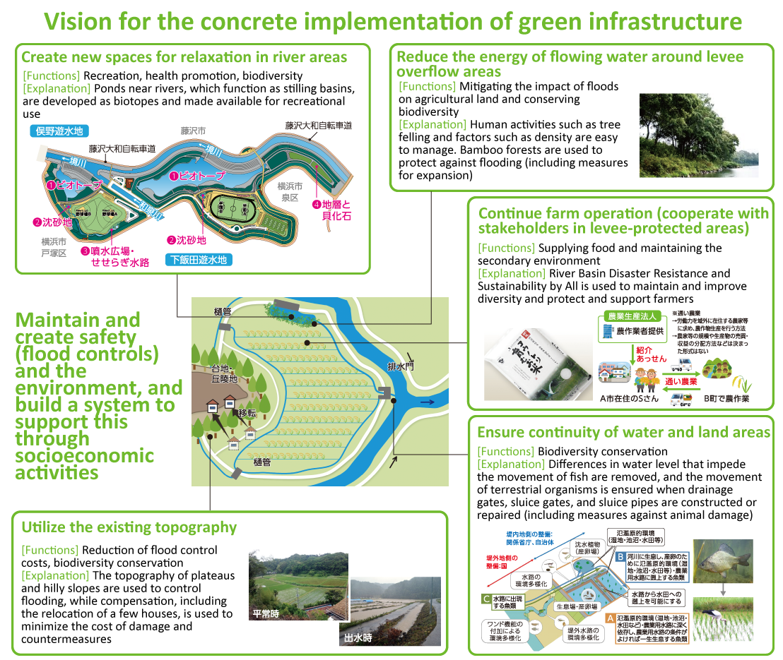 Vision for the concrete implementation of green infrastructure