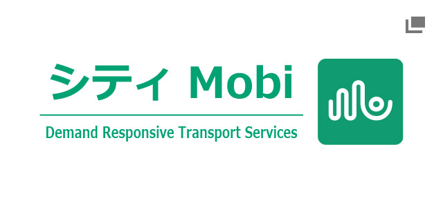 Demand Responsive Transport Services CTI Mobility