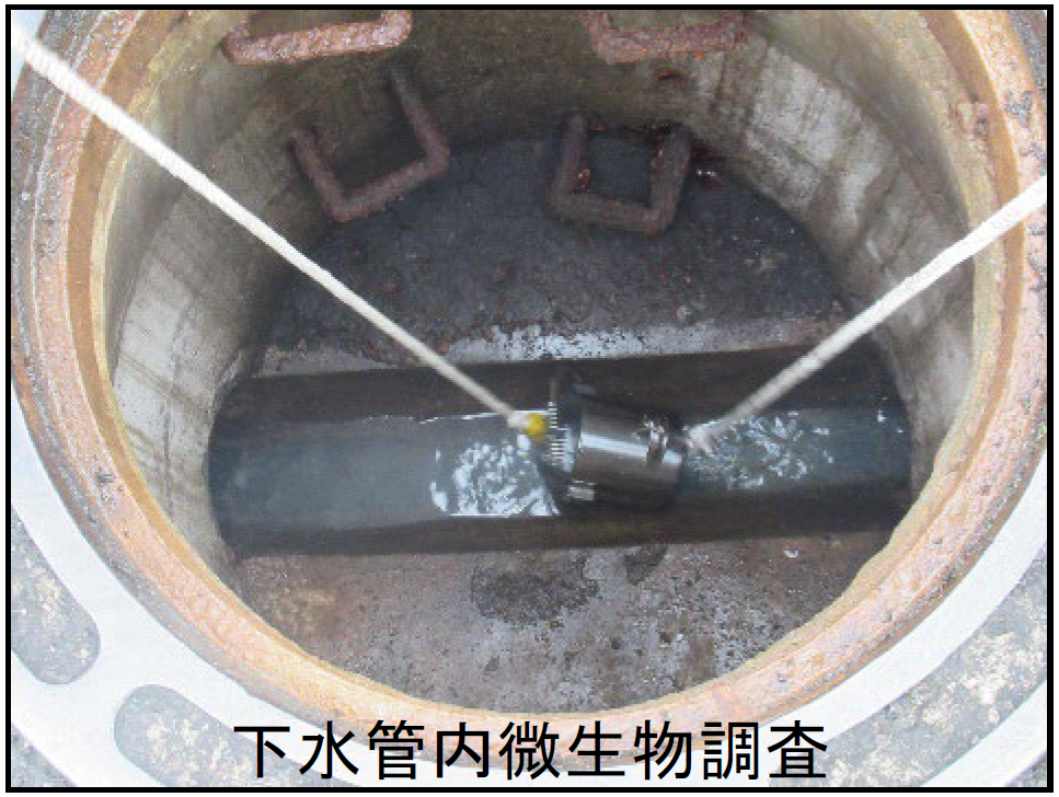 photo_20220804_b.png