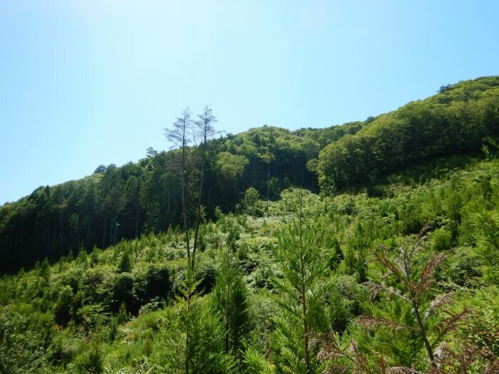photo1.jpg
