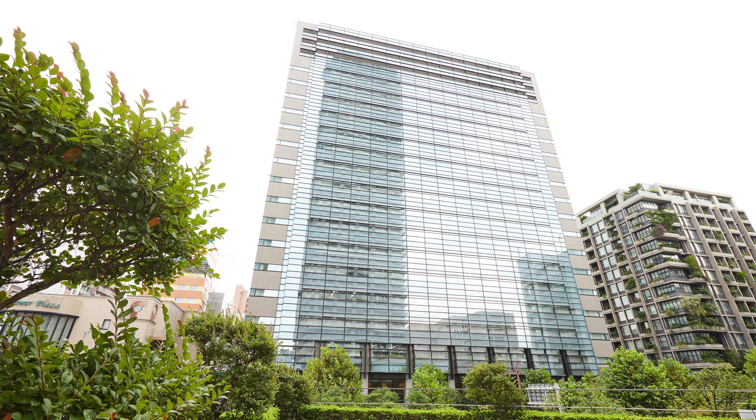建設技術研究所の基礎知識