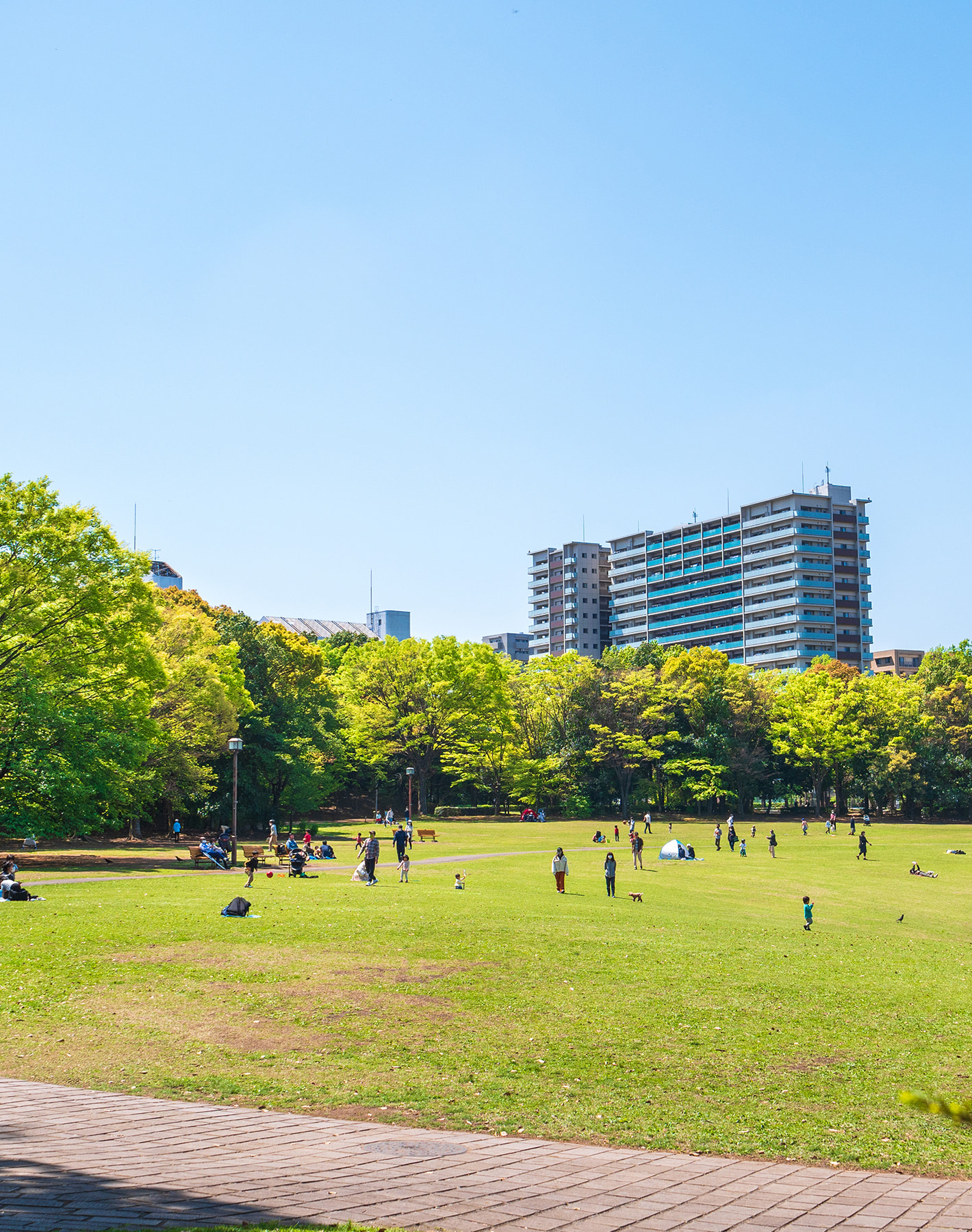 環境・社会事業部門