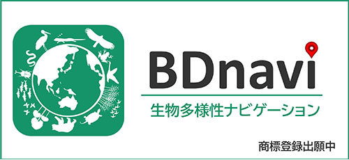 BDnavi