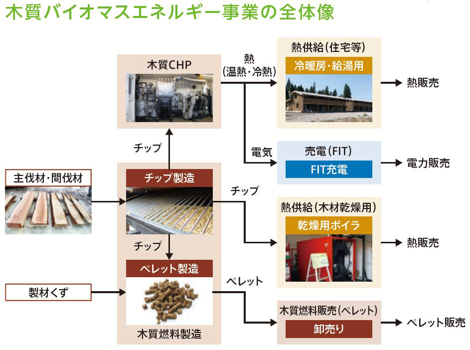 持続可能な地域づくりを目指した木質バイオマス事業への参画